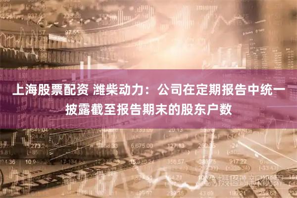 上海股票配资 潍柴动力：公司在定期报告中统一披露截至报告期末的股东户数