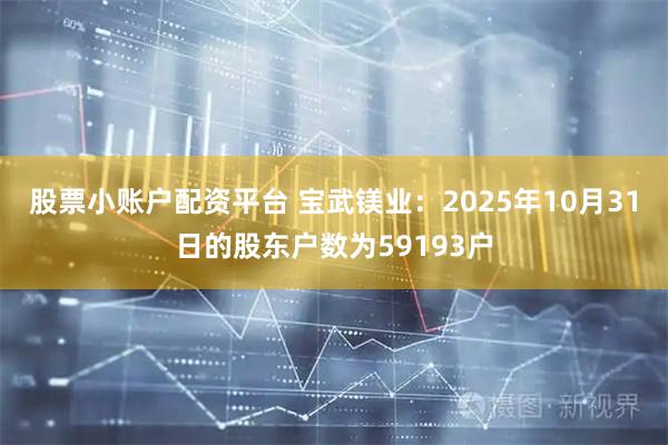 股票小账户配资平台 宝武镁业：2025年10月31日的股东户数为59193户