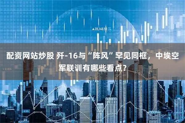 配资网站炒股 歼-16与“阵风”罕见同框,中埃空军联训有哪些看点?